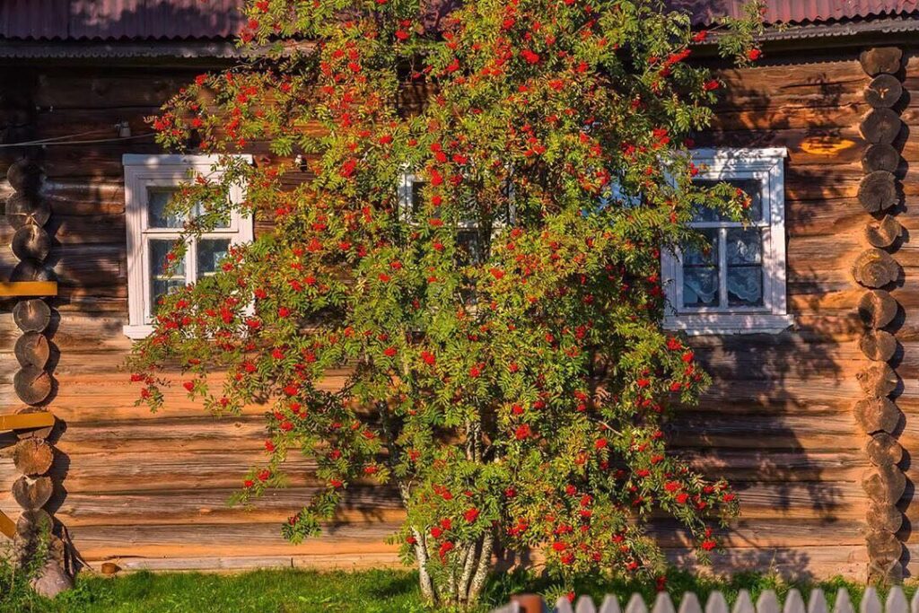 Защита дома